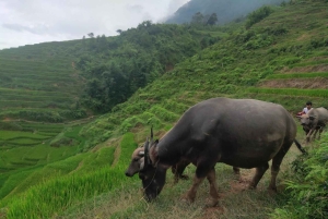 2 päivän Sapa-kierros - yöpyminen Ta Van-kylässä (All in One)