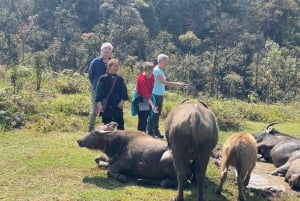 2-dages trekkingtur i Sapa – Udforsk landsbyer og naturskønne stier
