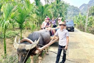 2 Day Scenic Escape To Mai Chau Pu Luong Nature Reserve Tour