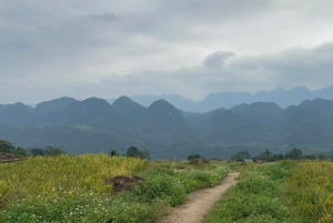 2 dagers naturskjønn tur til Mai Chau Pu Luong naturreservat
