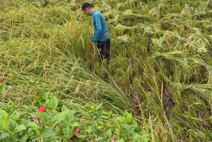 2 dagers naturskjønn tur til Mai Chau Pu Luong naturreservat