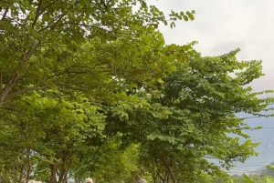 2 dagers naturskjønn tur til Mai Chau Pu Luong naturreservat