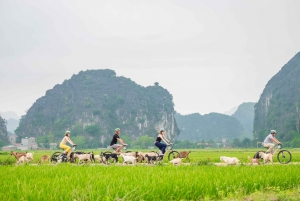 2 dagar i Ninh Binh: Hoa Lu/Bai Dinh- Trang An/Tam Coc- Mua-grottan