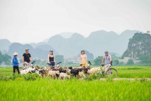 2 dagar i Ninh Binh: Hoa Lu/Bai Dinh- Trang An/Tam Coc- Mua-grottan