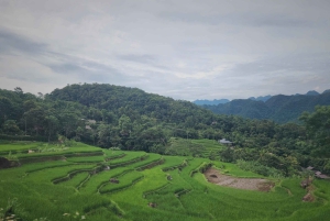 2 Day Trekking In Pu Luong Loop & Overnight At Homestay