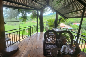 2 Day Trekking In Pu Luong Loop & Overnight At Homestay