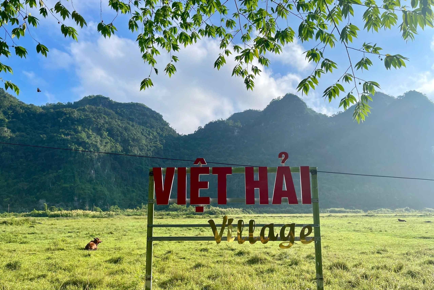 Aventura de 2 dias e 1 noite: Parque Nacional de Cat Ba, Baía de Lan Ha