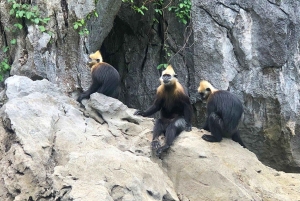 Aventura de 2 dias e 1 noite: Parque Nacional de Cat Ba, Baía de Lan Ha