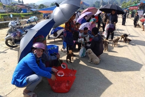 Circuit de deux jours et une nuit dans le district de Bac Ha : aventure et marché du week-end