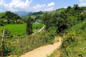 Circuit de deux jours et une nuit dans le district de Bac Ha : aventure et marché du week-end