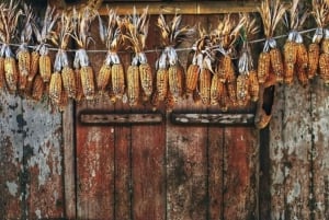 2 dni 1 noc przygody: Park Narodowy Cat Ba, Zatoka Lan Ha