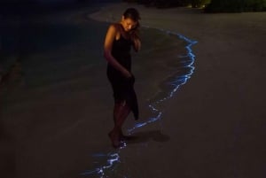 2 dni 1 noc przygody: Park Narodowy Cat Ba, Zatoka Lan Ha