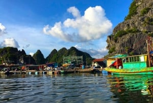 2 dni 1 noc przygody: Park Narodowy Cat Ba, Zatoka Lan Ha