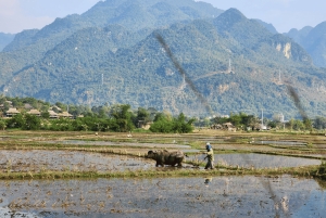2D1N - Mai Chau para os amantes da natureza (a apenas 3 horas de Hanói)
