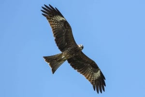 3-päiväinen Tutustu upeimpaan Cat Ba Island - Lan Ha Bayyn