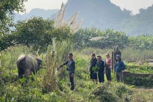 3-dagers: Ha Long–Lan Ha Bay og Ninh Binh 5-stjerners cruise