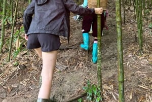 3 päivää 2 yötä Sapassa | 1 yö kotimajoitus ja 1 yö hotelli