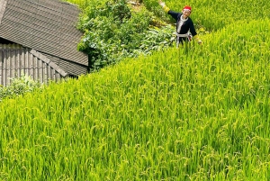 3 Days 2 Nights in Sapa | 1 Night Homestay & 1 Night Hotel