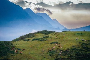 3 Days 2 Nights in Sapa | 1 Night Homestay & 1 Night Hotel