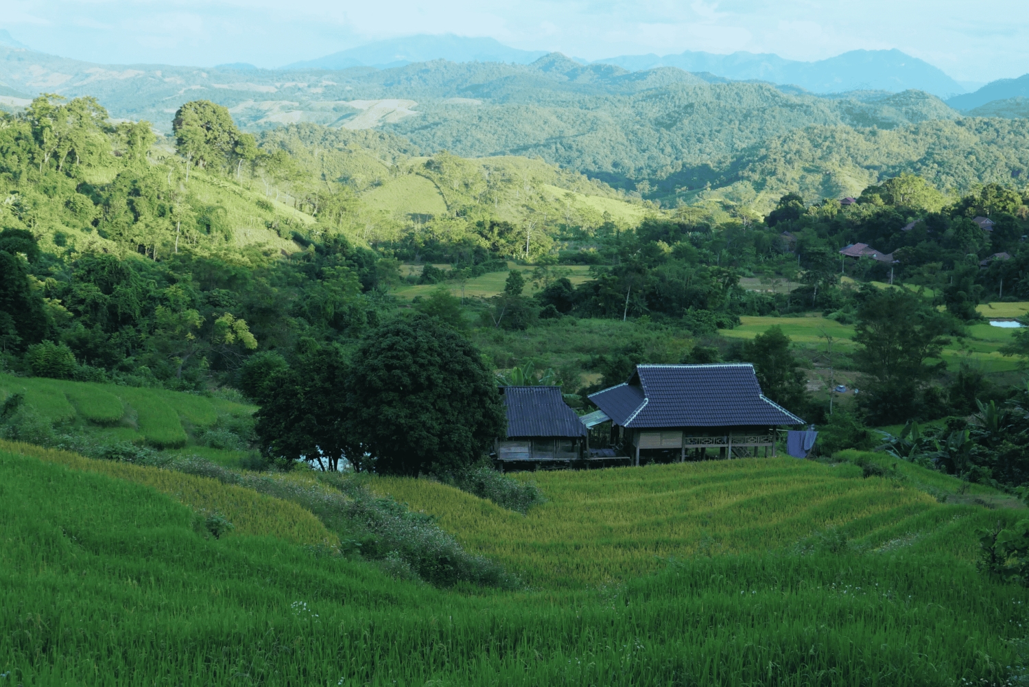 3D2N Mai Chau - Pu Luong fra risdal til naturreservat