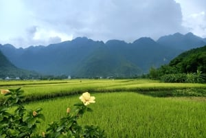 3D2N Mai Chau - Pu Luong from rice valley to nature reserve