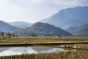 3D2N Mai Chau - Pu Luong fra risdal til naturreservat