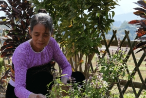 3D2N Mai Chau - Pu Luong fra risdal til naturreservat