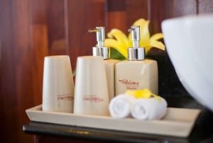 4つ星ハロンパロマクルーズ2D1Nの旅