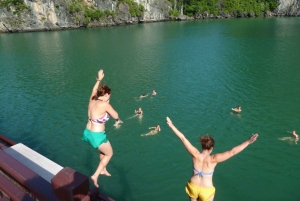 4-star Halong Paloma Cruise 2D1N Trip