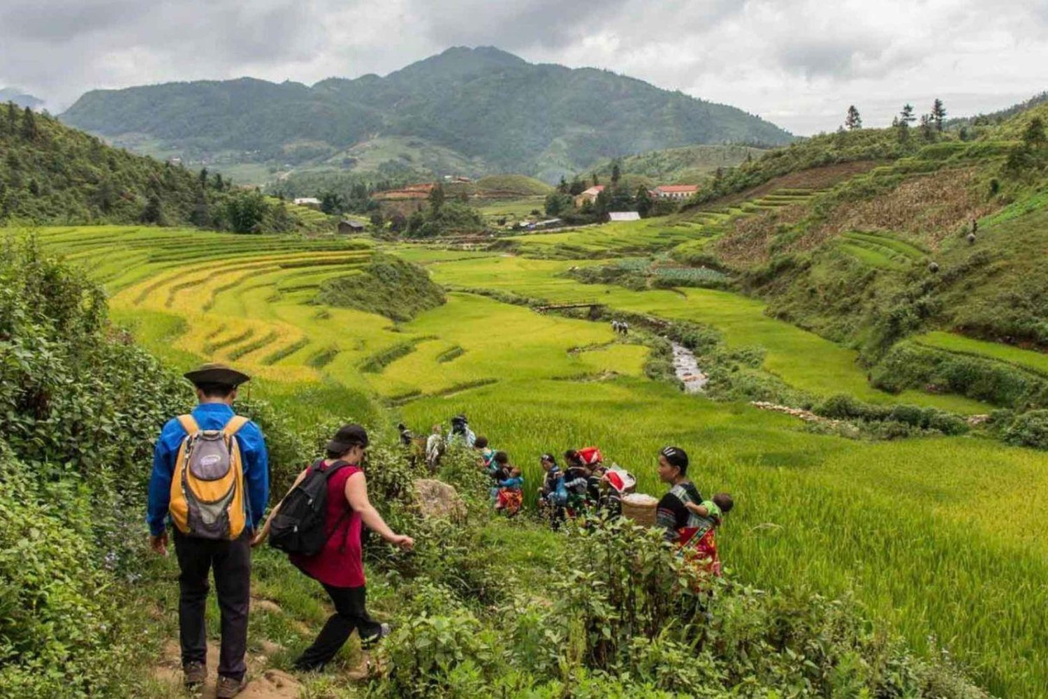 Avventura di 7 giorni: Sapa - Crociera notturna a Ha Long - Ninh Binh