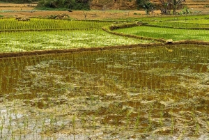 Authentische Kultur der Weißen Thai mit Gruppentour Hanoi – Pu Bin