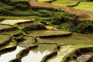 Authentische Kultur der Weißen Thai mit Gruppentour Hanoi – Pu Bin