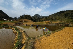 Authentische Kultur der Weißen Thai mit Gruppentour Hanoi – Pu Bin