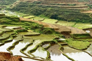 Authentische Kultur der Weißen Thai mit Gruppentour Hanoi – Pu Bin