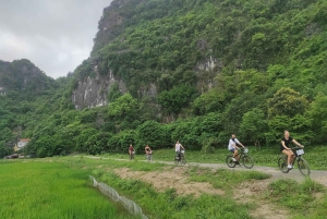 Beste Ninh Binh Tour 1-dags omvisning i liten gruppe - flere alternativer