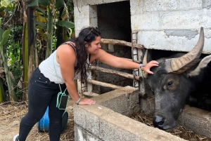 Cao Bang: da Ha Hoi - Cascata di Ban Gioc 2 giorni 1 notte