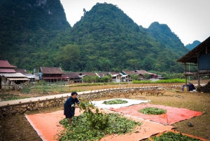 Punti salienti di Cao Bang: Percorso culturale e naturale di 3 giorni