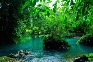 Punti salienti di Cao Bang: Percorso culturale e naturale di 3 giorni