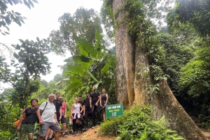 Cat Ba: escursione di 2 giorni a Ninh Binh e nella giungla di Cuc Phuong