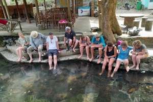 Cat Ba: Day boat tour with: kayak, cave, bike, meal, tickets