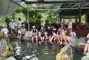 Cat Ba: Dagsudflugt med cykling, kajakroning, måltider, billetter