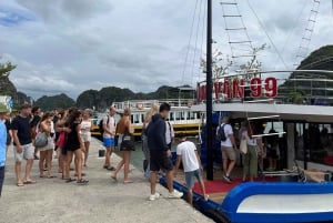 Cat Ba: Full- day trip with biking, kayaking, meal, tickets