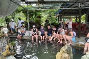 Cat Ba: Full- day trip with biking, kayaking, meal, tickets