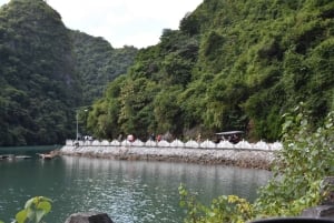 Cat Ba: Full- day trip with biking, kayaking, meal, tickets
