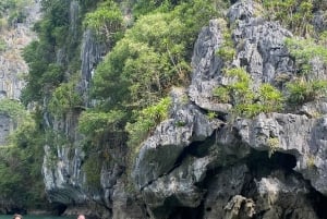 Cat Ba: Full- day trip with biking, kayaking, meal, tickets