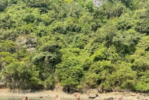 Cat Ba: Full- day trip with biking, kayaking, meal, tickets