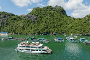 Hanói: Cat Ba, Lan Ha y Bahía de Ha Long Crucero de Lujo con Almuerzo