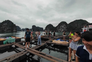 Cat Ba: Lan Ha Bay cozy cruise 2D ,small group, bike, kayak
