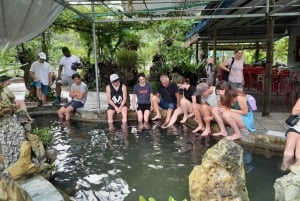 Cat Ba: Lan Ha Bay cozy cruise 2D ,small group, bike, kayak