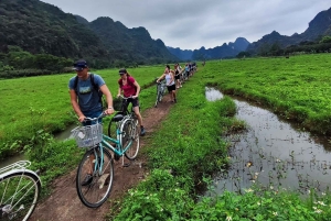 Cat Ba: Lan Ha Bay-kryssning med privat balkong och liten grupp